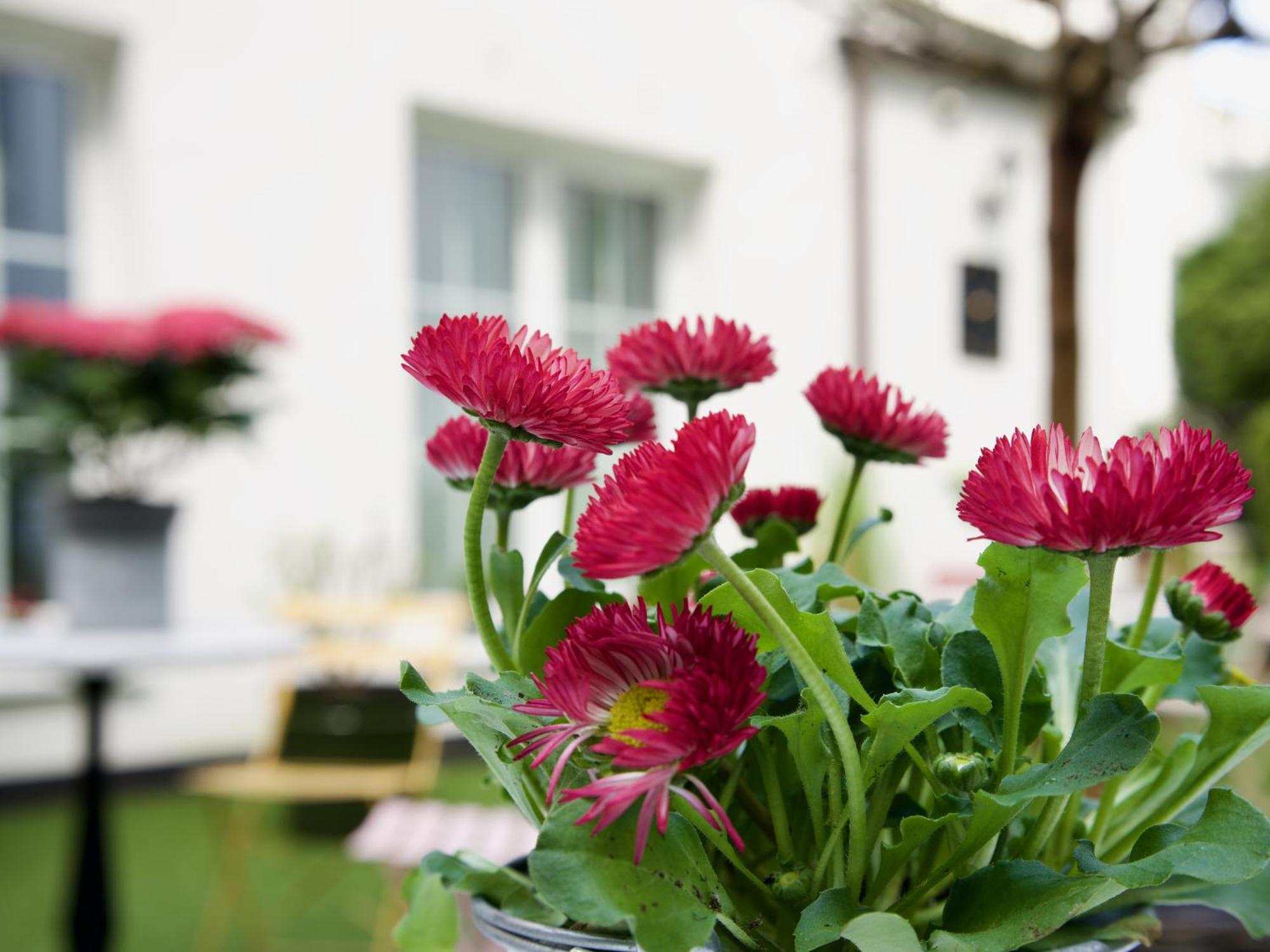 Apartments Les Jardins Hamburg Dış mekan fotoğraf